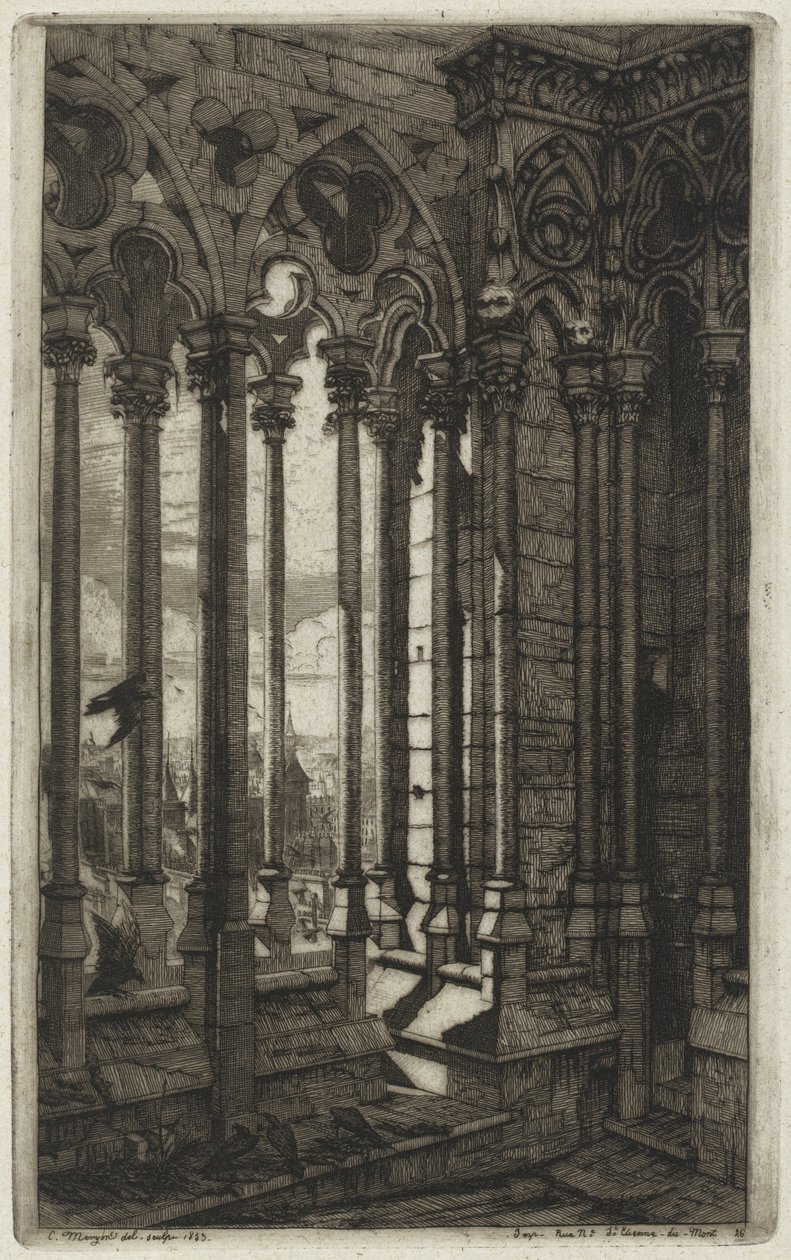 Notre-Dame-galleriet, Paris av Charles Meryon