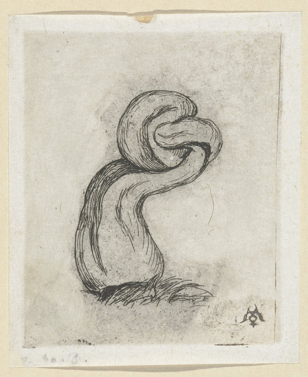 Misformde paddestoel (Cryptogamae) Malingre-kryptospillet av Charles Meryon
