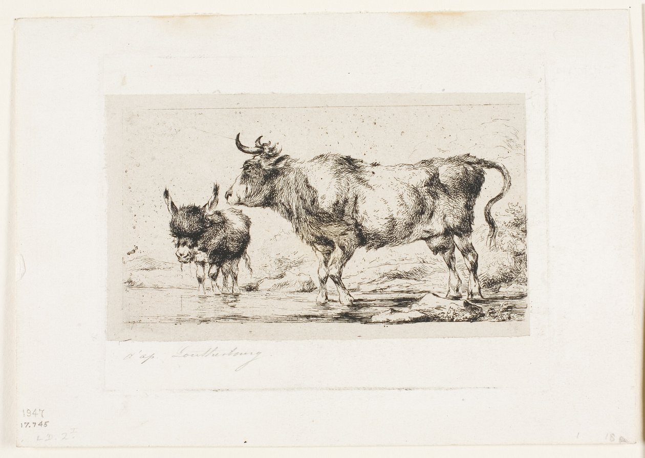 The Cow and Ass av Charles Meryon