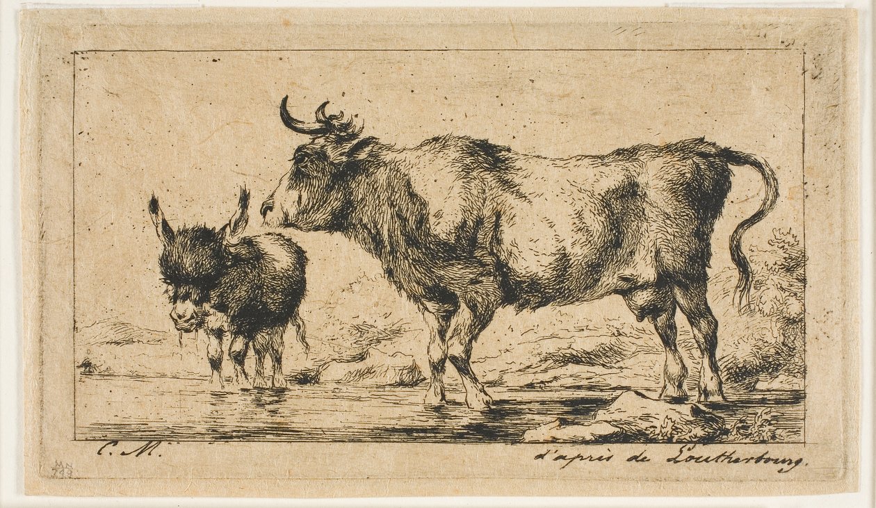 The Cow and Ass av Charles Meryon