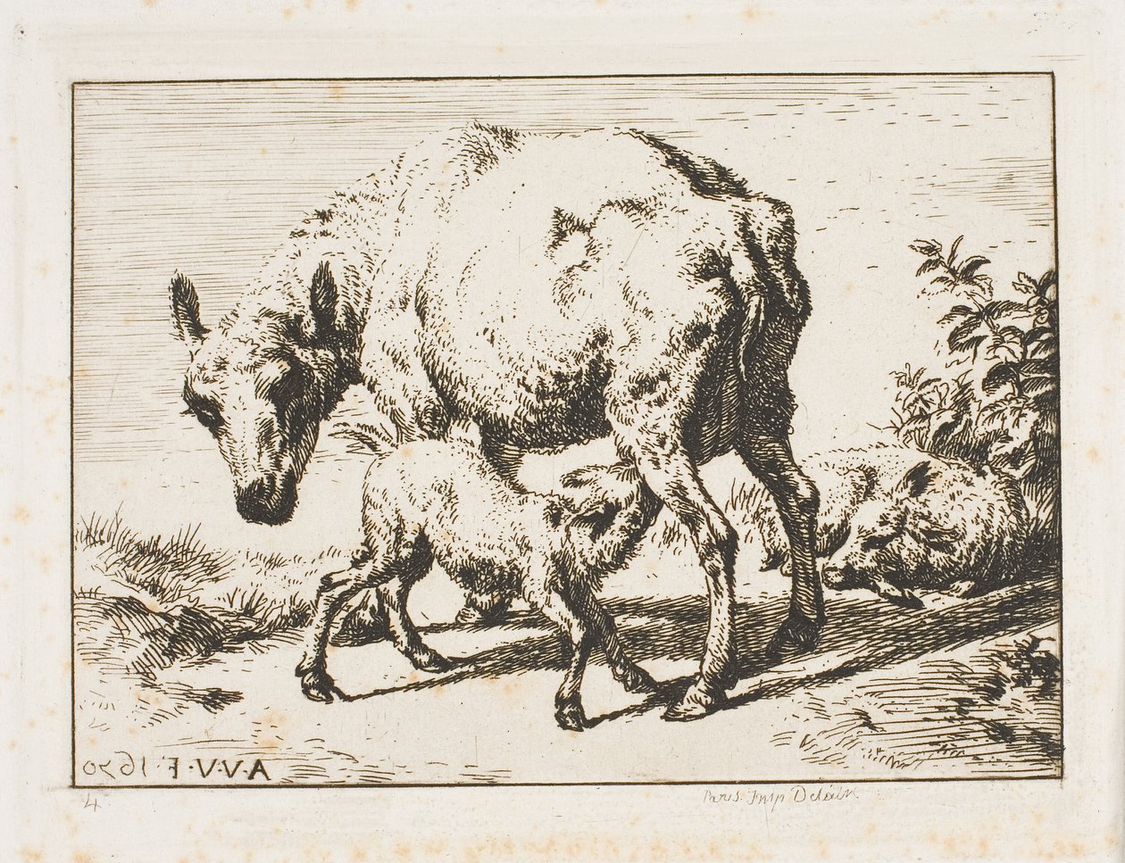 Øya med to lam av Charles Meryon
