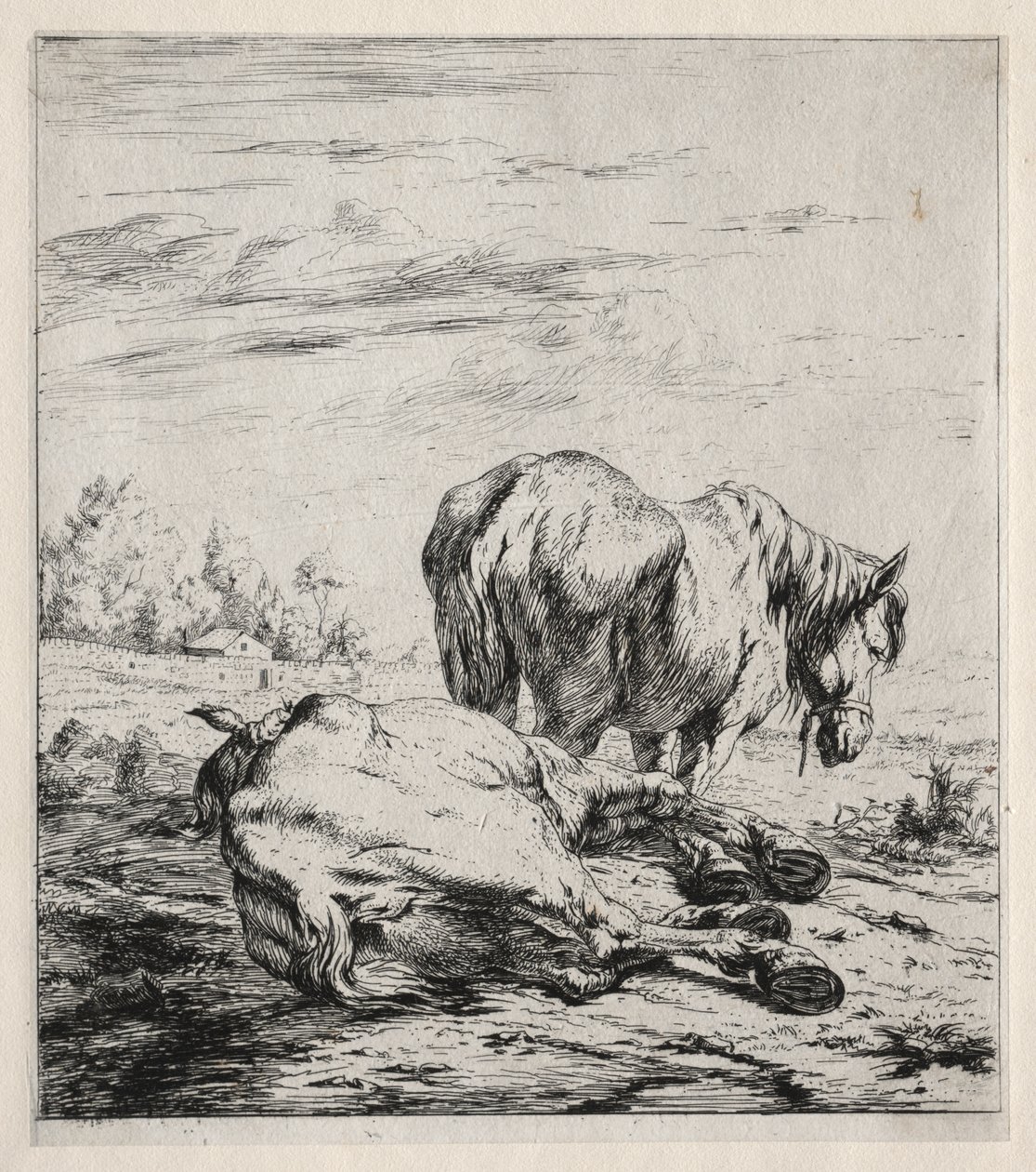 De to hestene av Charles Meryon