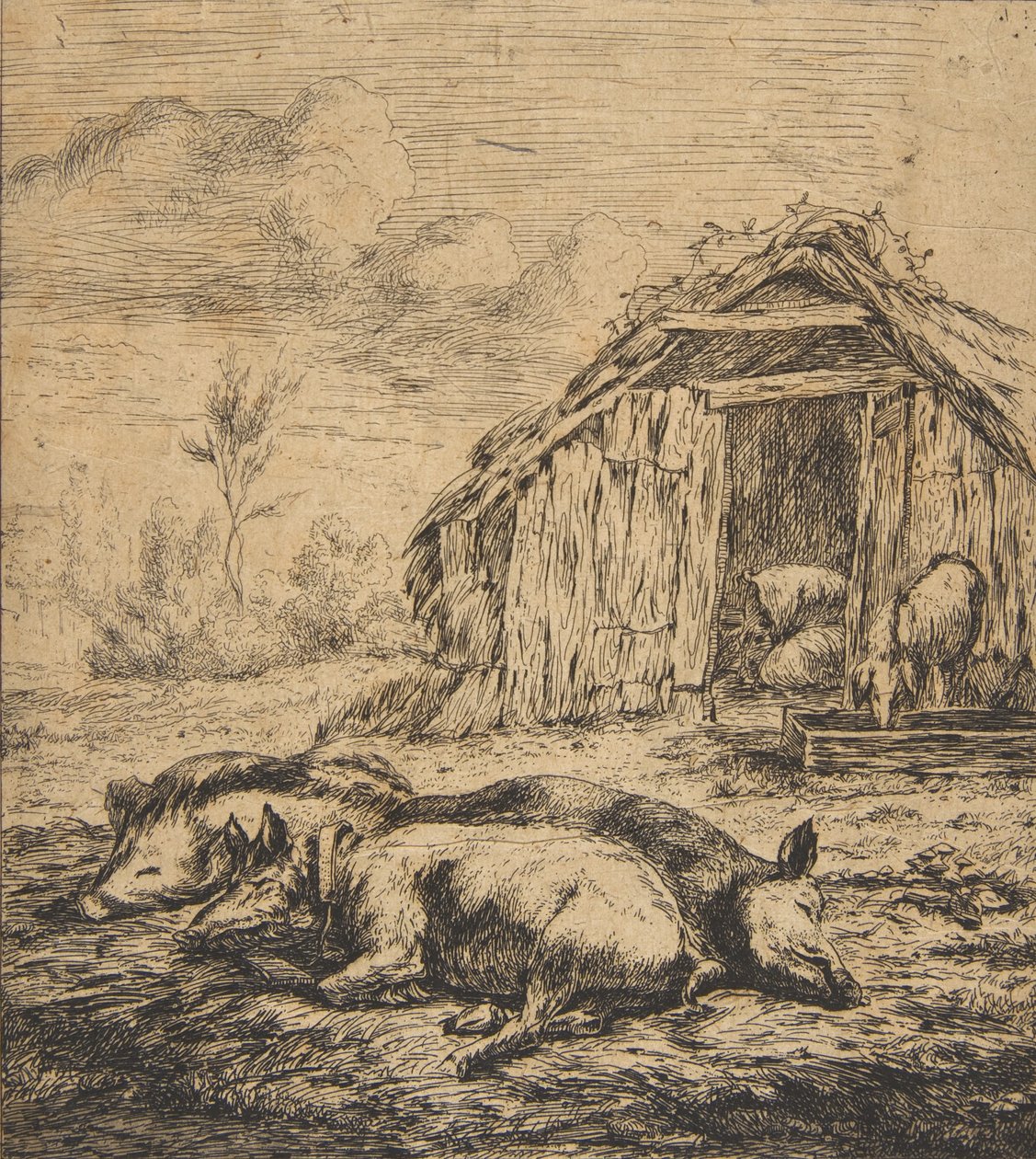 Tre griser som ligger foran et skur, 1850. av Charles Meryon