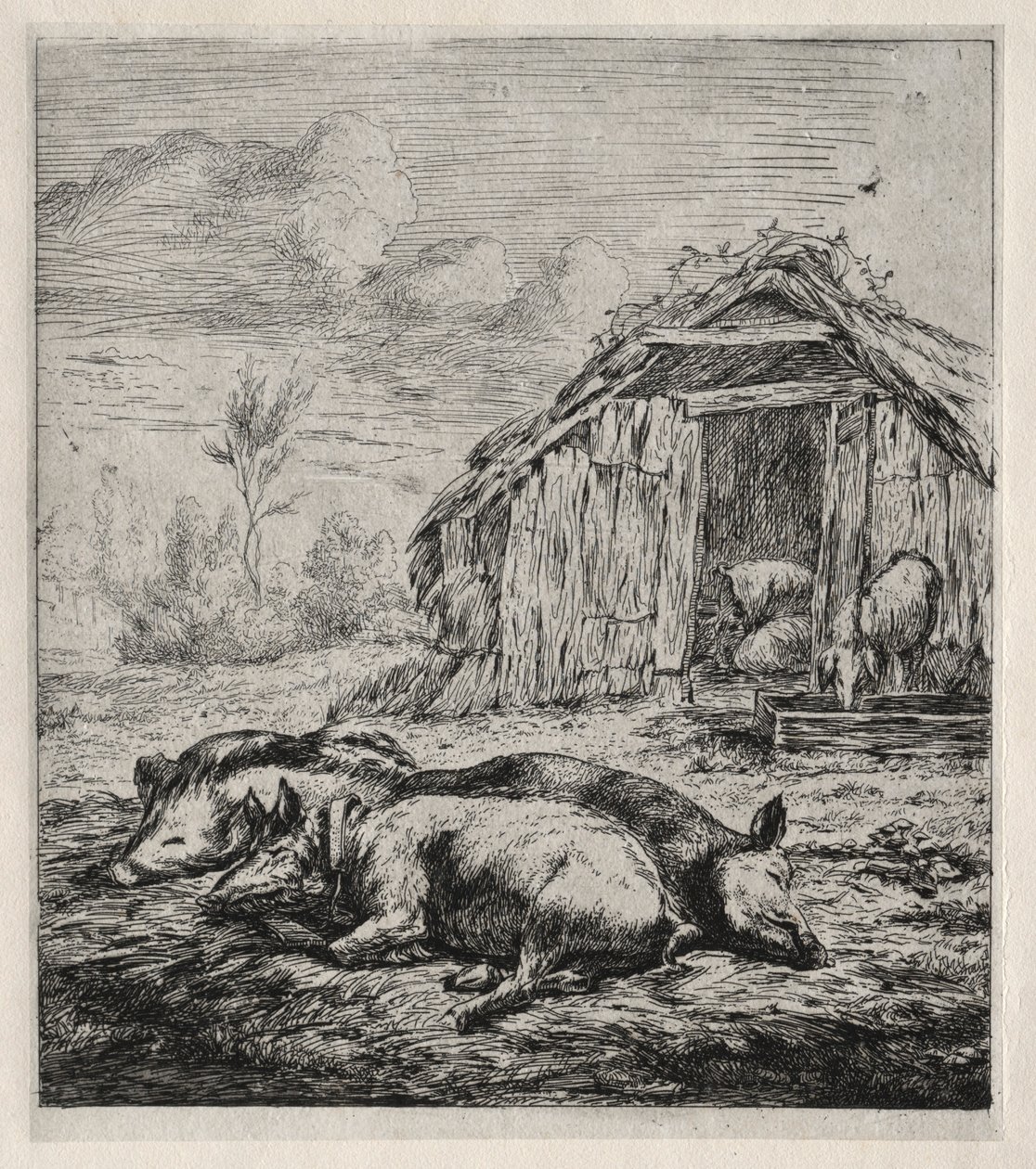 Tre svin som ligger foran en sti, 1850. av Charles Meryon