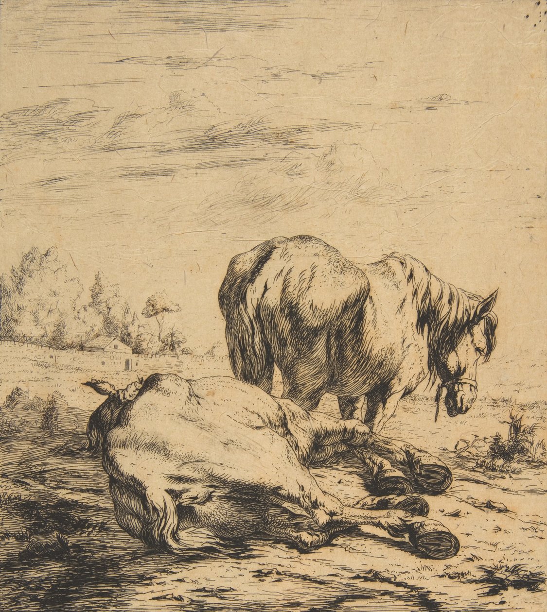 To hester, 1850. av Charles Meryon