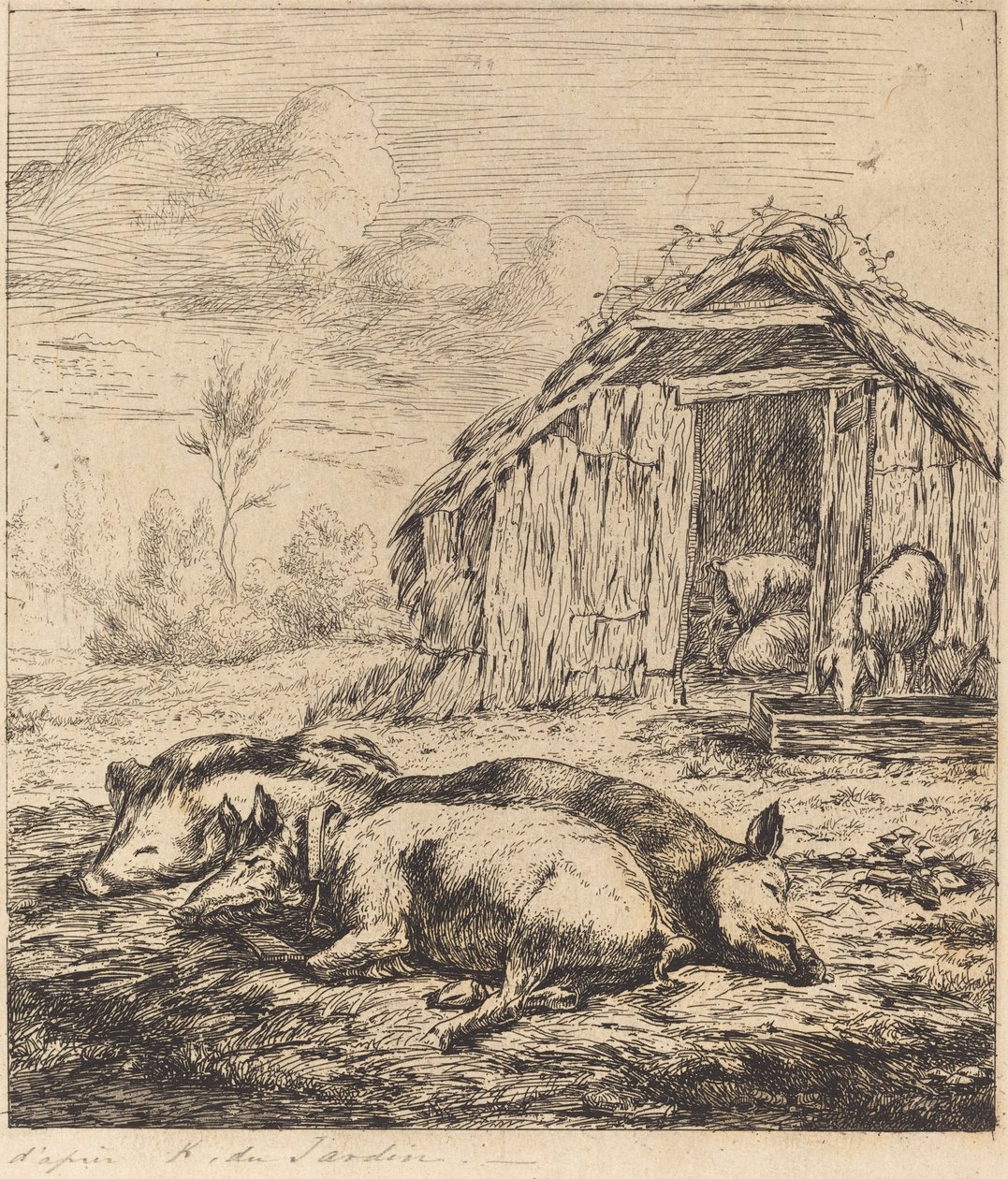 De tre grisene som ligger foran stallen (tre svin som ligger foran en stall) av Charles Meryon after Karel Dujardin