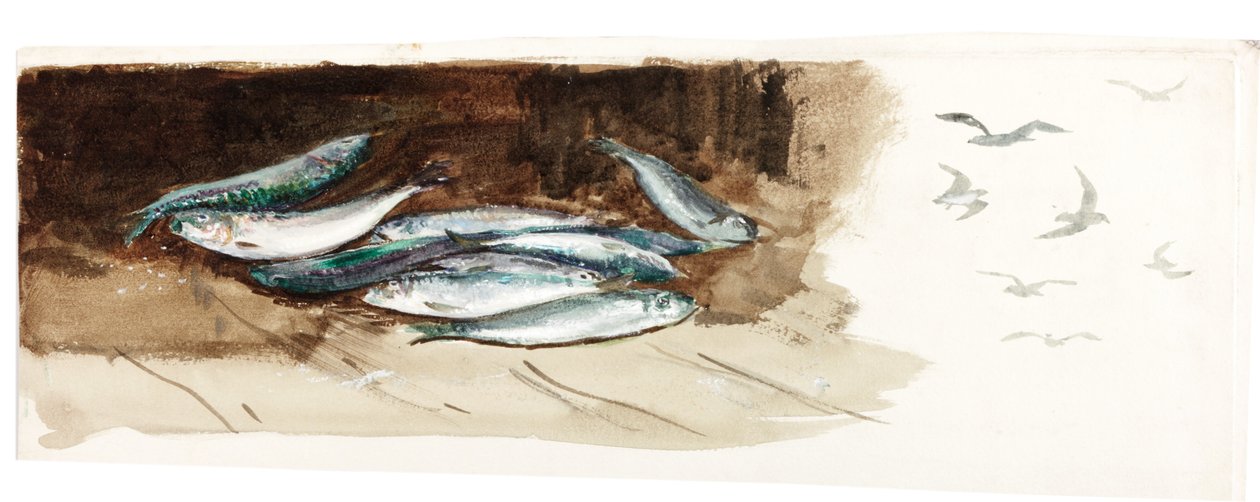 Studie av fisk (kroppsfarge og akvarell på papir) av Charles Napier Hemy