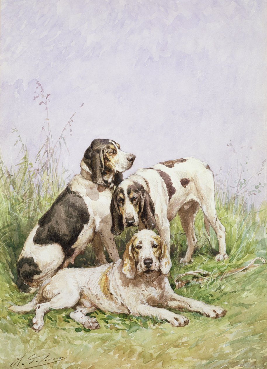 En gruppe franske hunder av Charles Oliver de Penne
