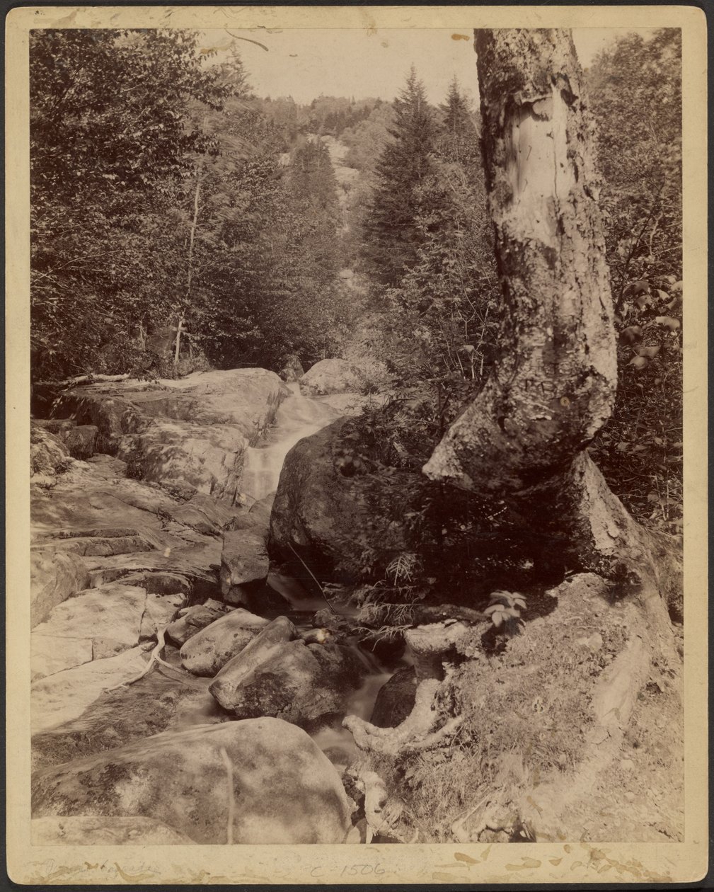  av Charles P. Hibbard