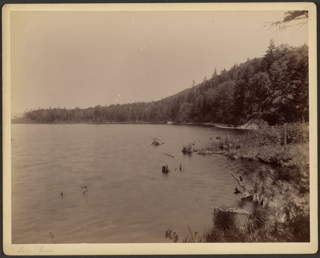  av Charles P. Hibbard