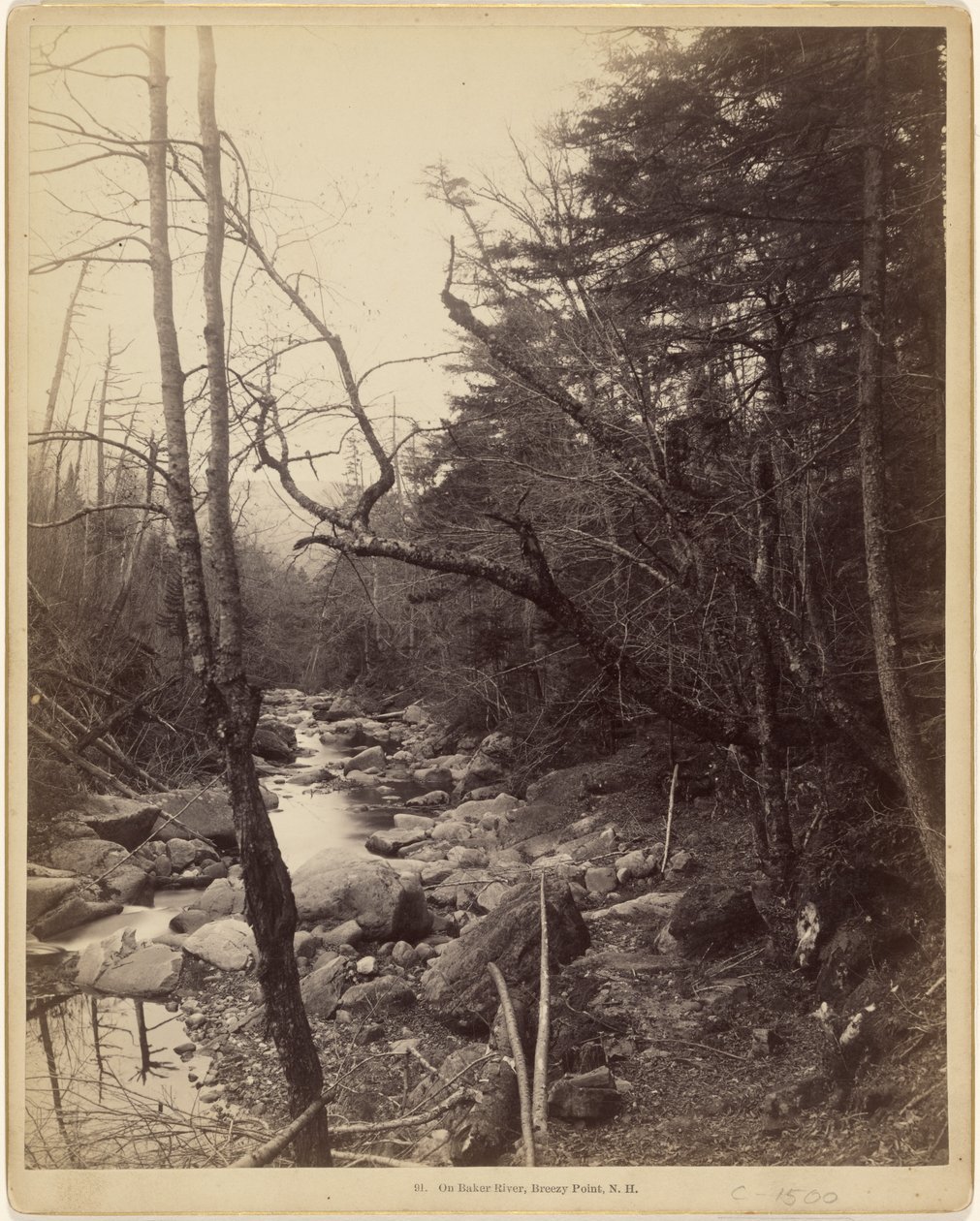  av Charles P. Hibbard