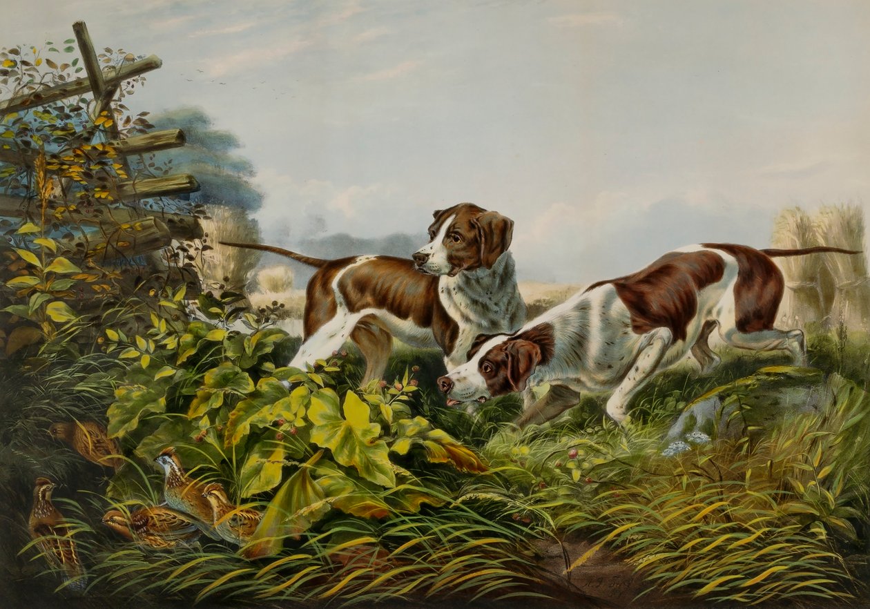  av Charles Parsons