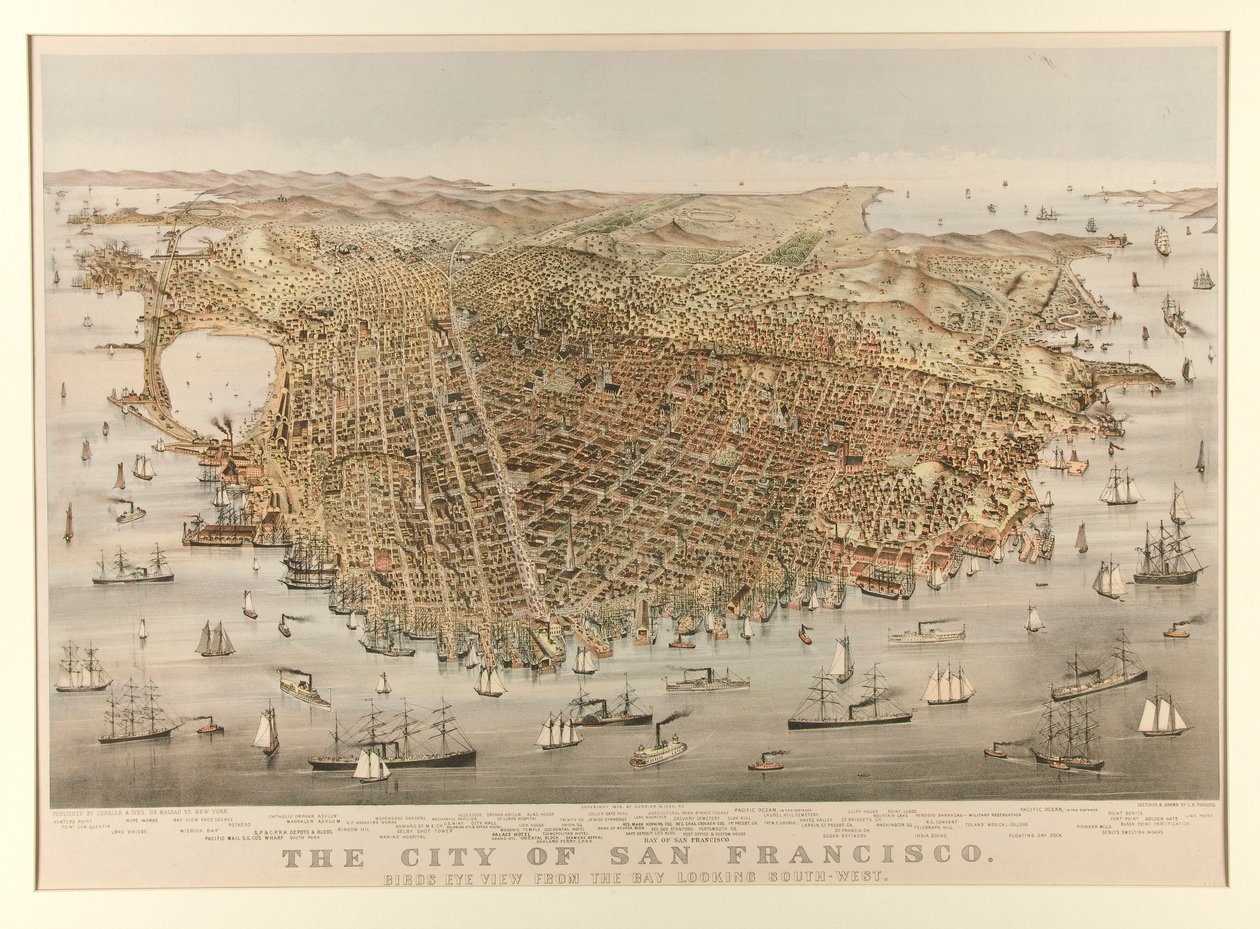 Byen San Francisco - Fugl av Charles Parsons