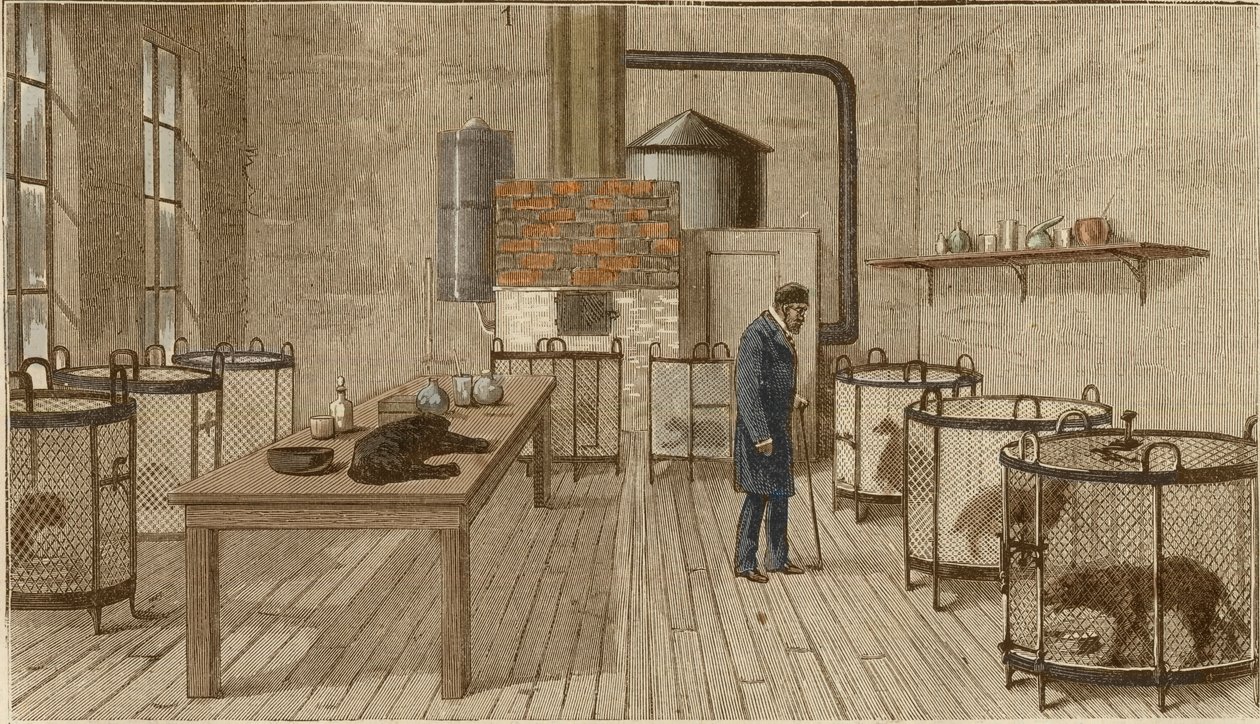 Hunder i bur inne i laboratoriet til Louis Pasteur av Charles Paul Renouard