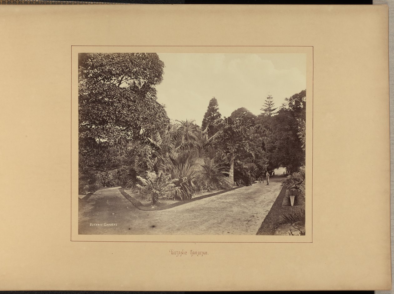 av Charles Percy Pickering