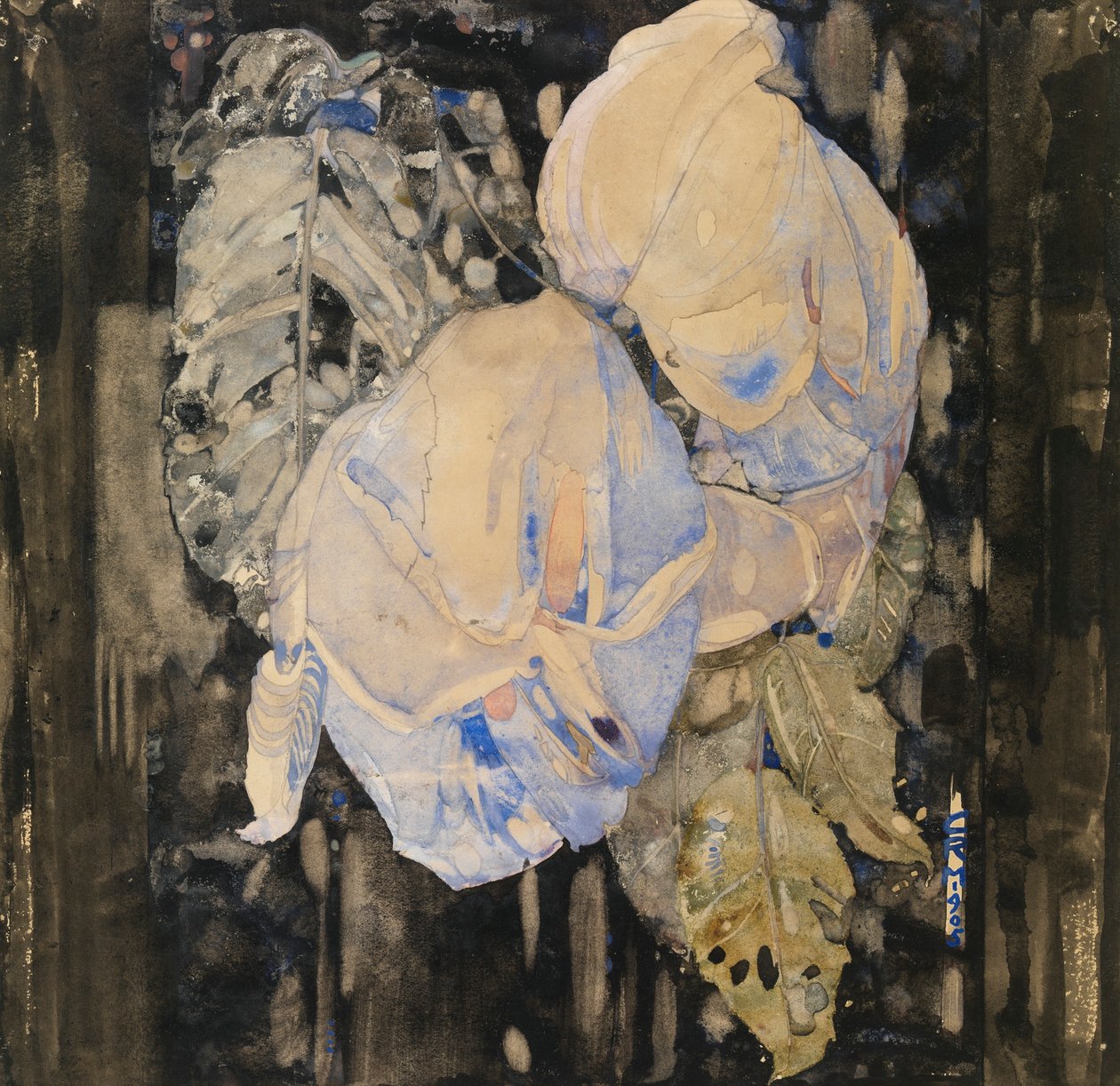 Visne roser av Charles Rennie Mackintosh