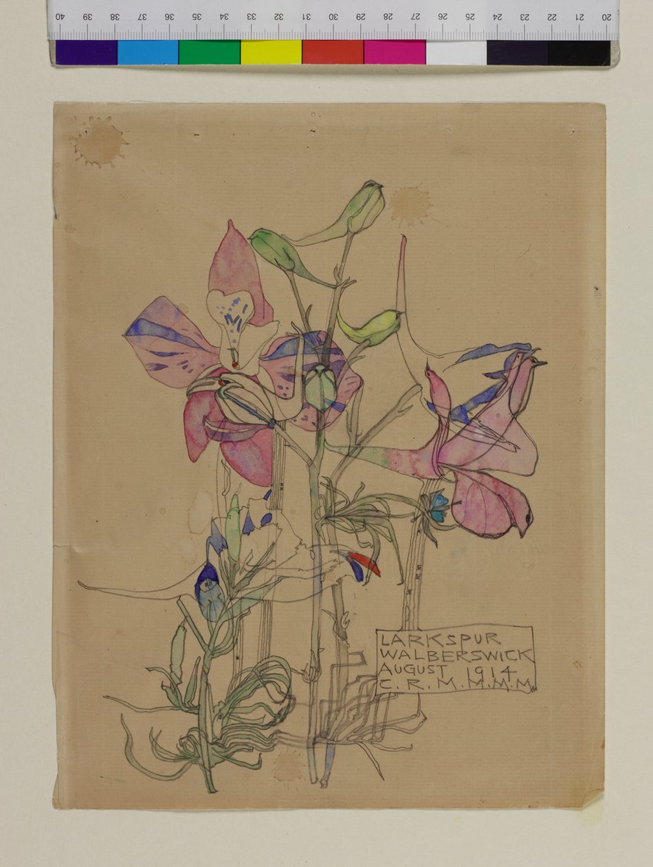 Larkspur, 1914 av Charles Rennie Mackintosh