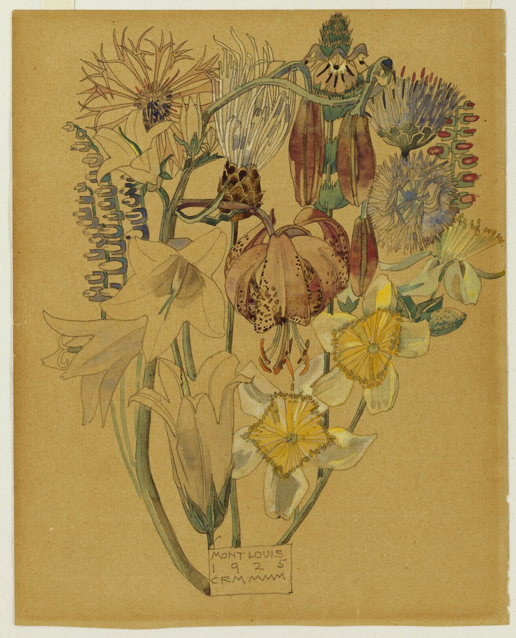 Mont Louis - Blomsterstudie, 1925 av Charles Rennie Mackintosh