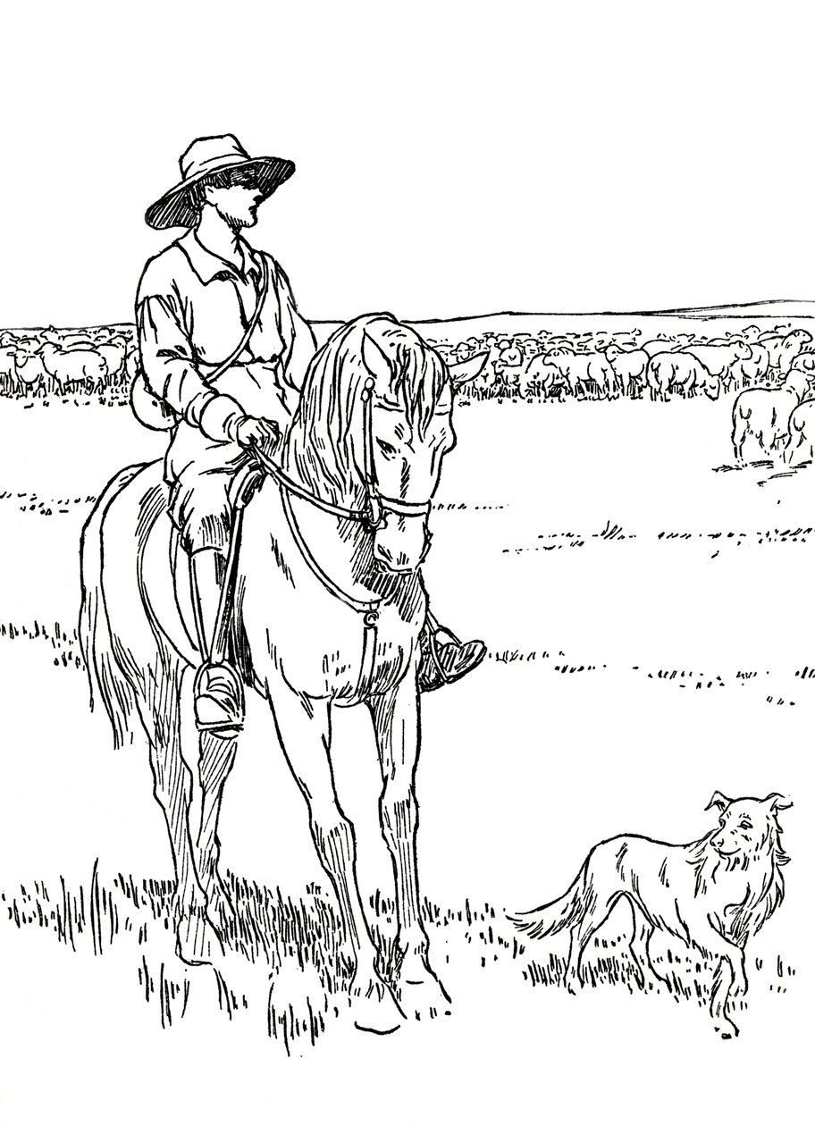 En sauestasjon i Australia, 1912 av Charles Robinson