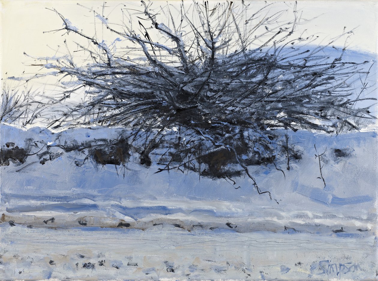  av Charles Simpson