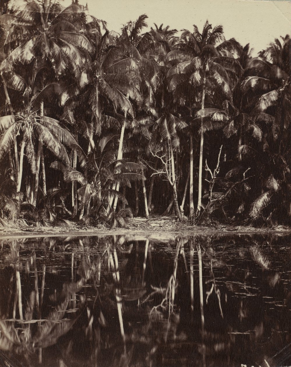 Tetiaroa - En Paumotu-lagune, 1880- eller 1890-tallet. av Charles Spitz