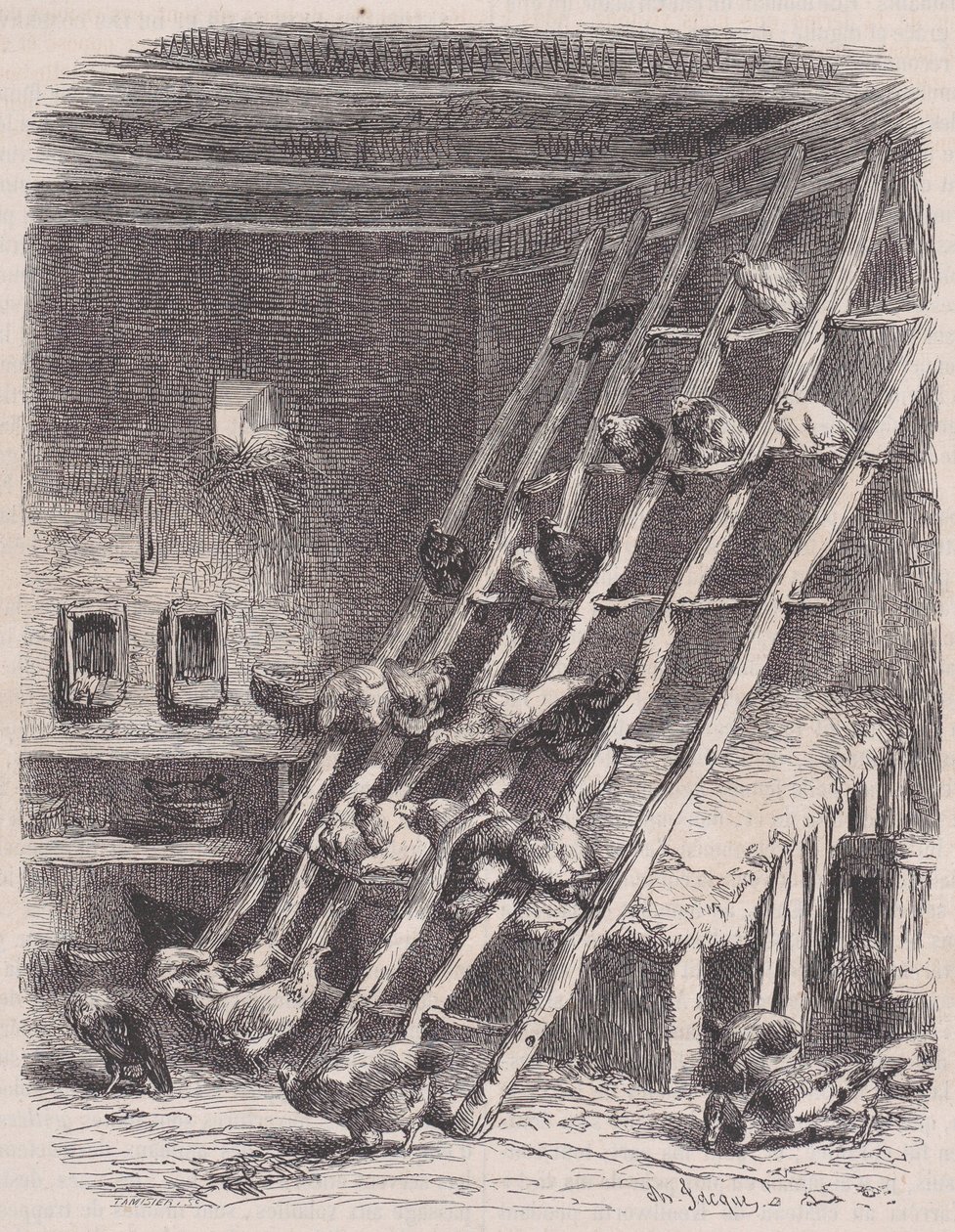 Besøk på en gård - The Roost, fra Le Magasin Pittoresque, ca. 1852. av Charles Tamisier