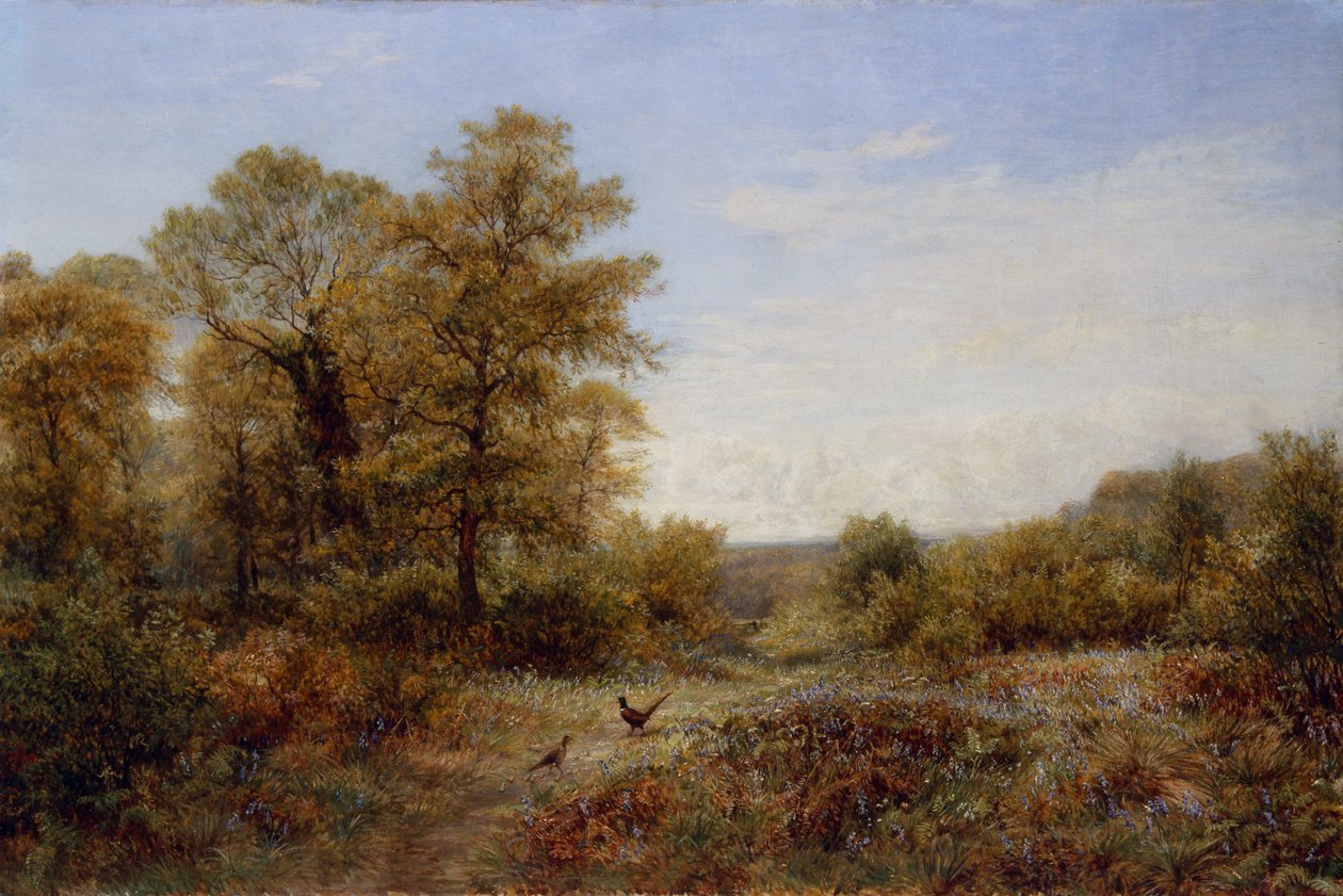 Fasanens hjem (olje på lerret) av Charles Thomas Burt