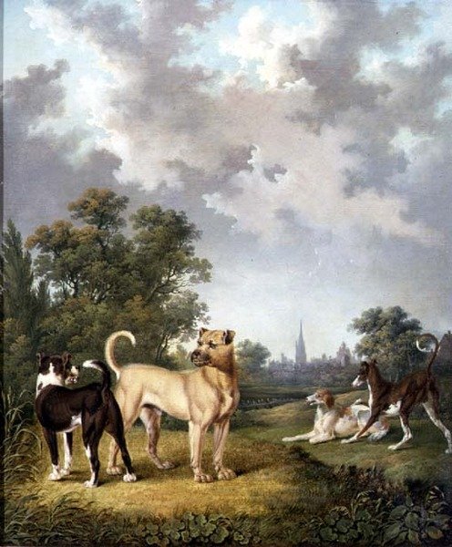 Dogs in a Landscape, ca. 1820 (olje på lerret) av Charles Towne