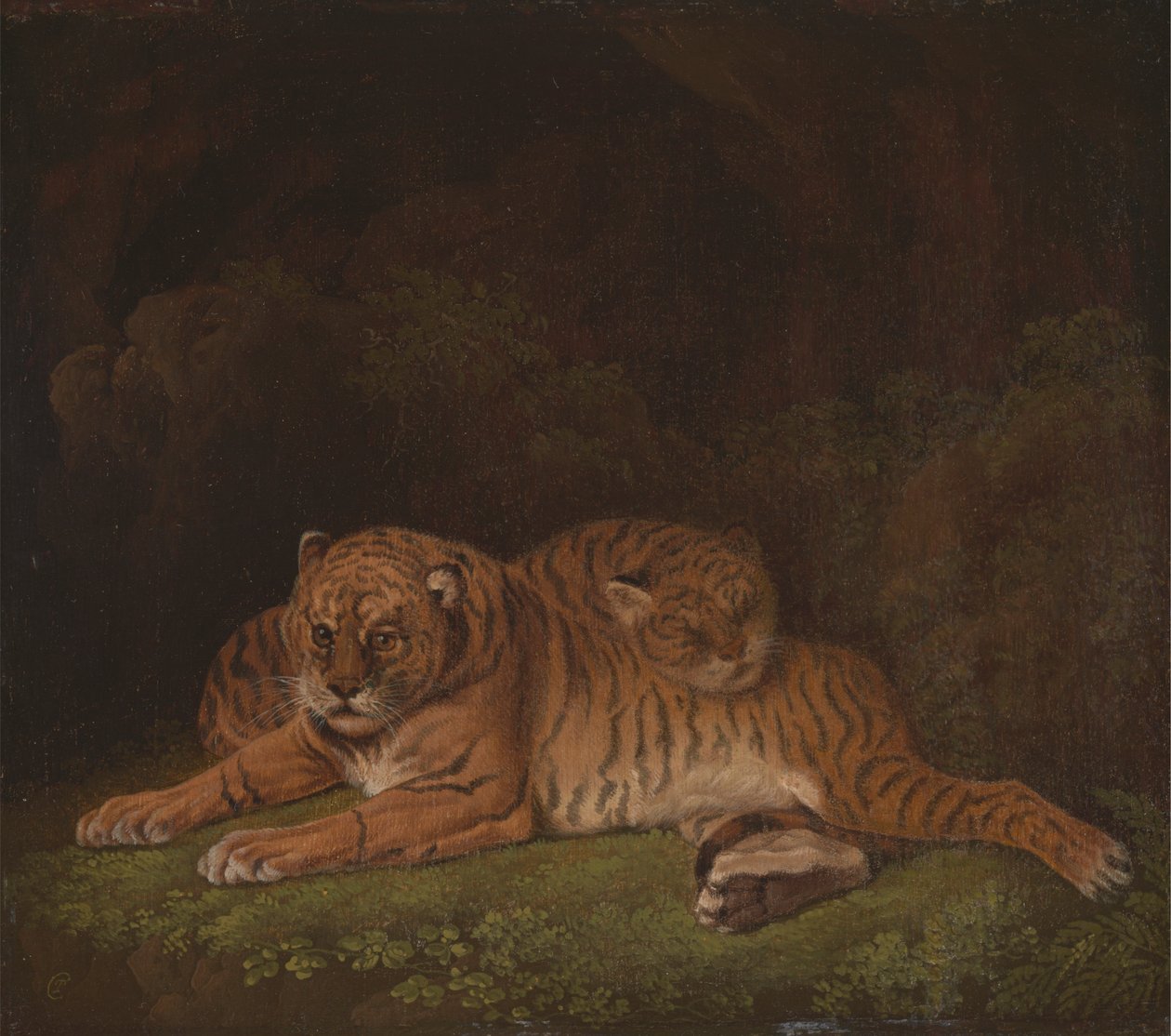 Tigre av Charles Towne
