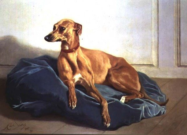 Studie av en hund av Charles Verlat