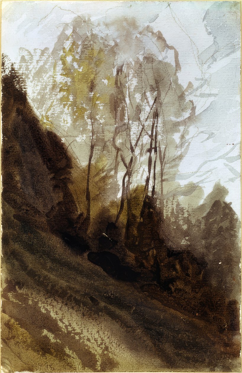 Bäume von Charles Vuillermet