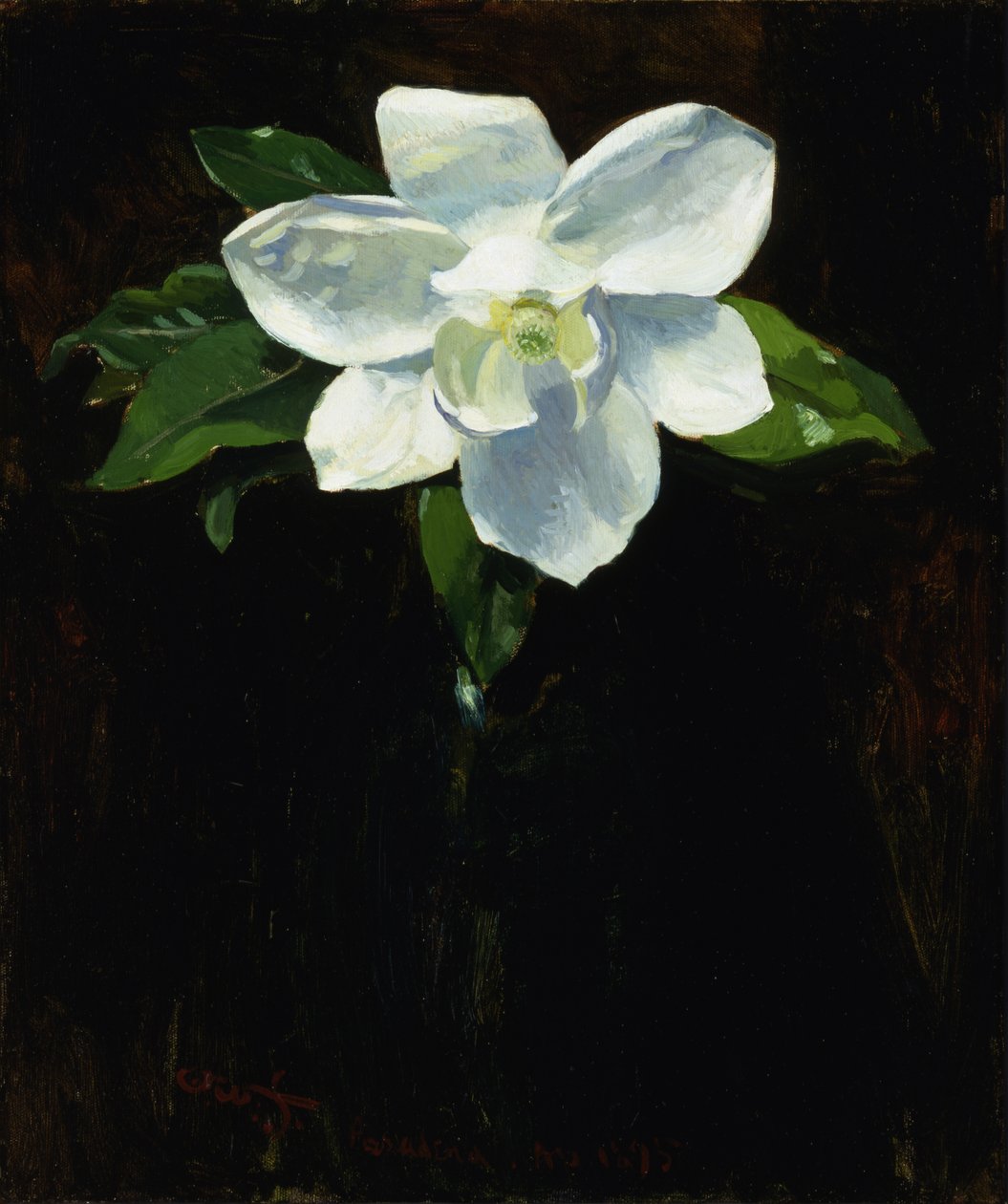 Magnolia, 1895. av Charles Walter Stetson