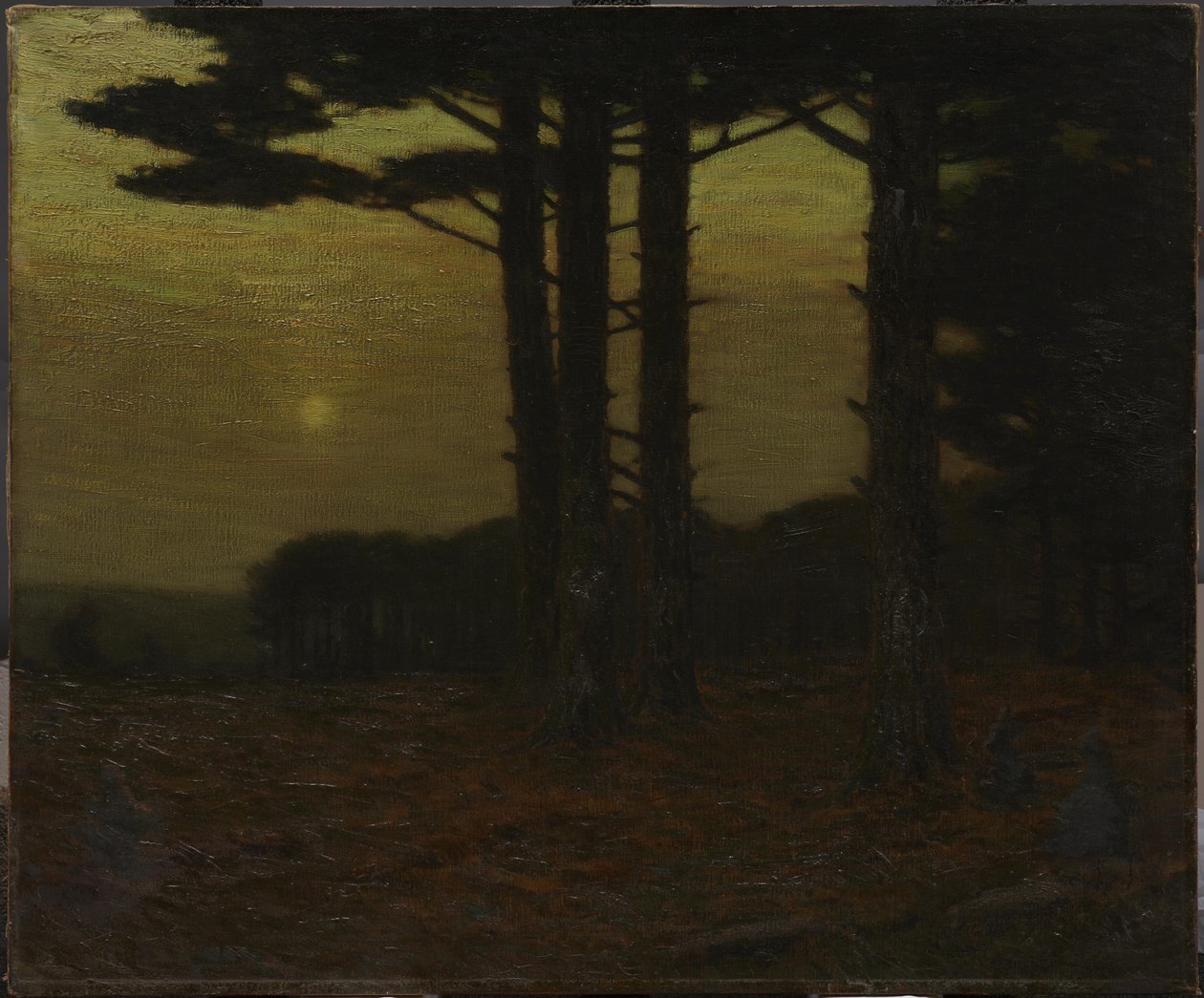 Sentinellene av Charles Warren Eaton