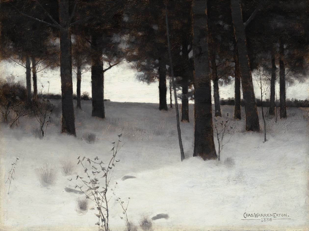 Skog om vinteren av Charles Warren Eaton
