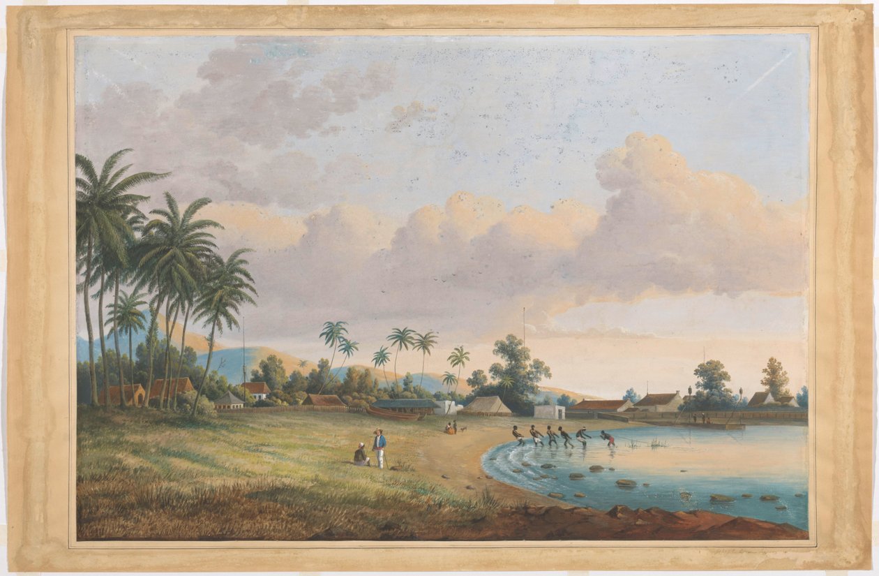 Ansikt til nellik Java av Charles William Meredith van de Velde