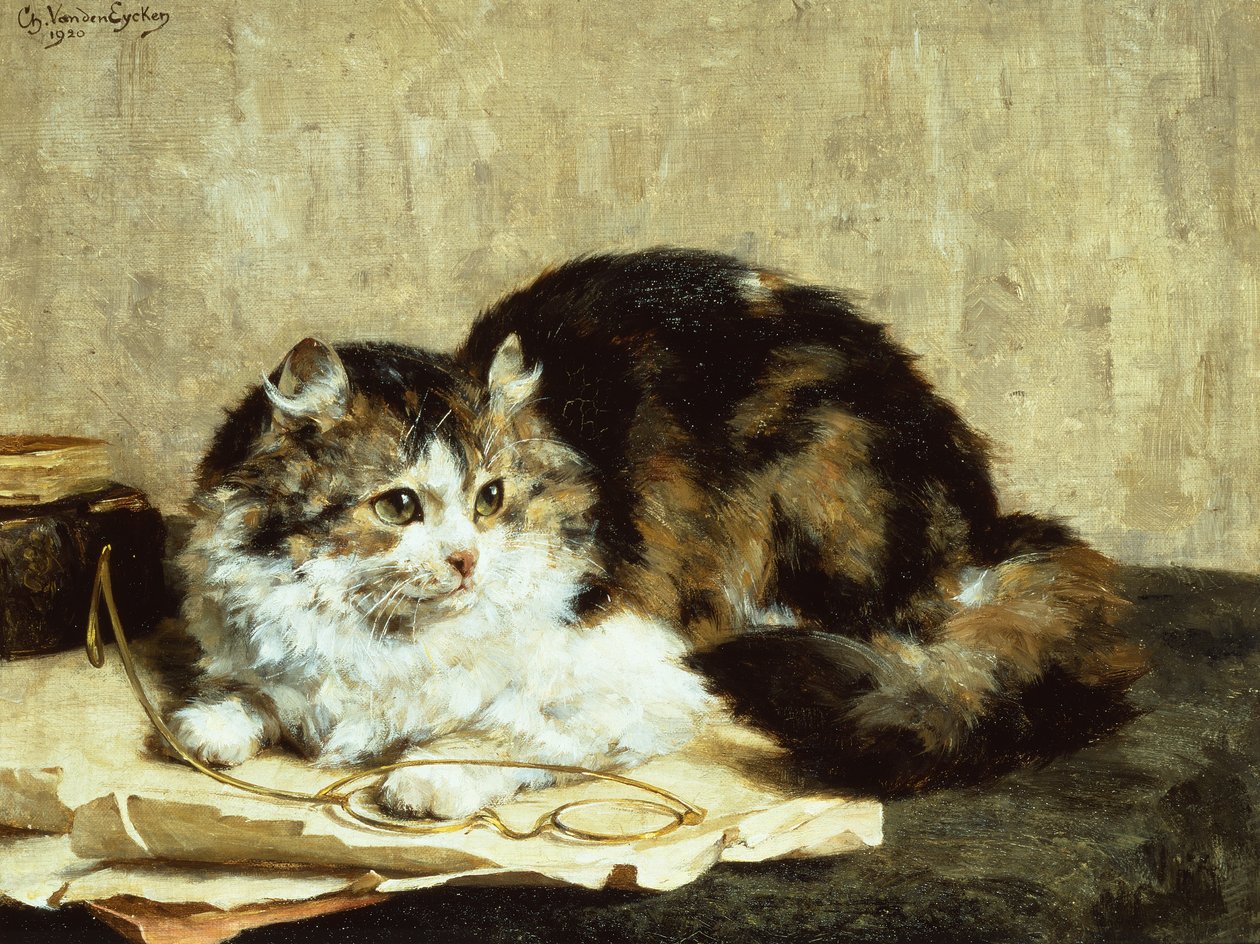 En Tabby Cat av Charles van den Eycken