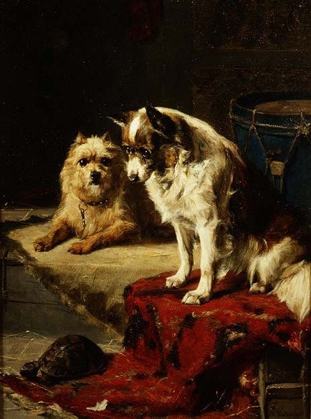 Hunder og en skilpadde av Charles van den Eycken