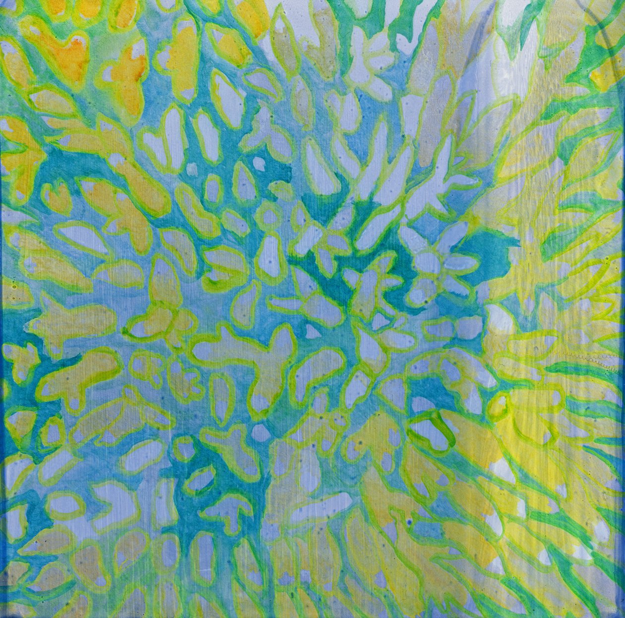 Acrapora, 2000 (olje på gesso) av Charlotte Johnstone