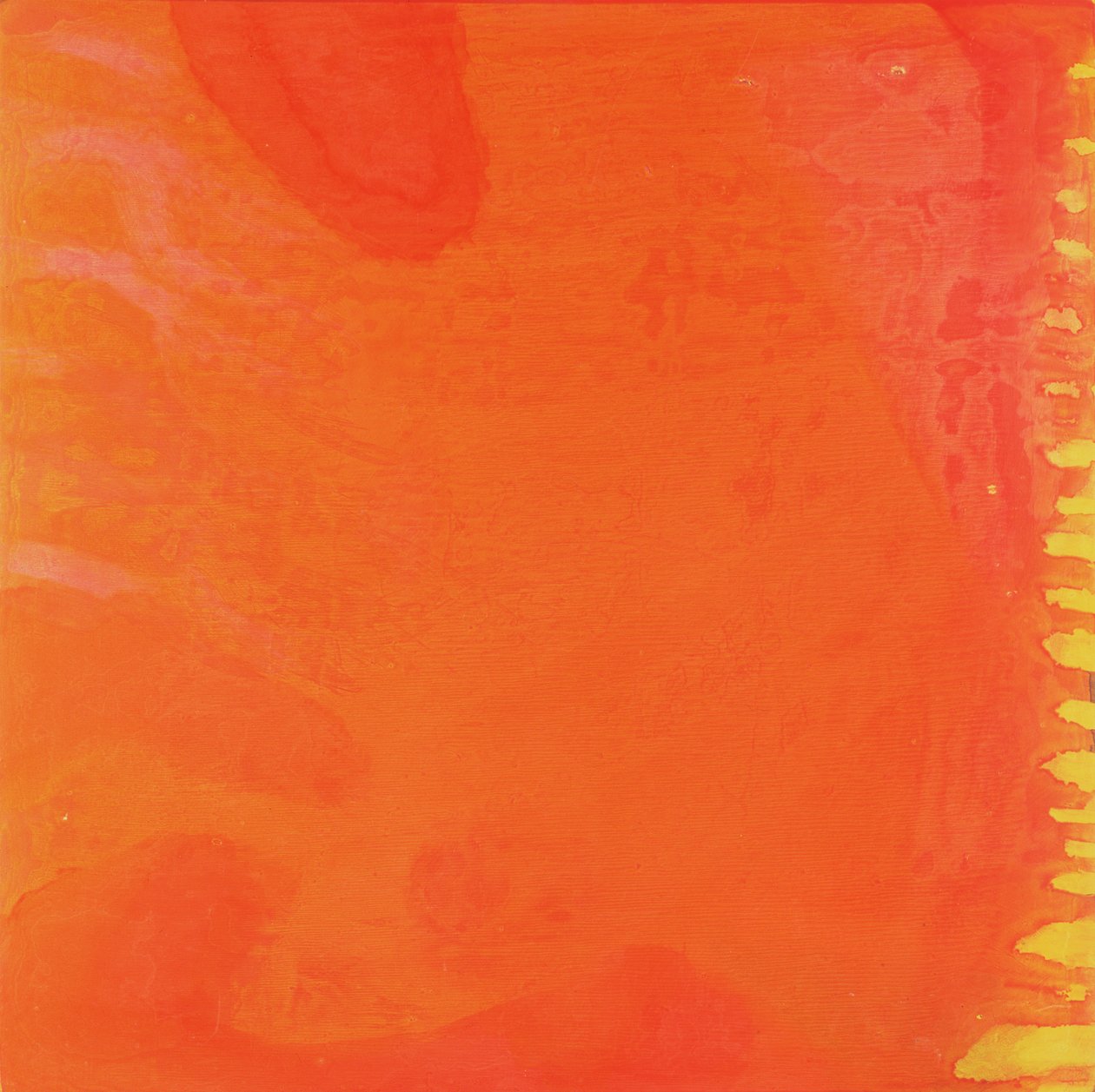 Rabbit Orange, 1997 (olje og glasur på gesso-brett) av Charlotte Johnstone