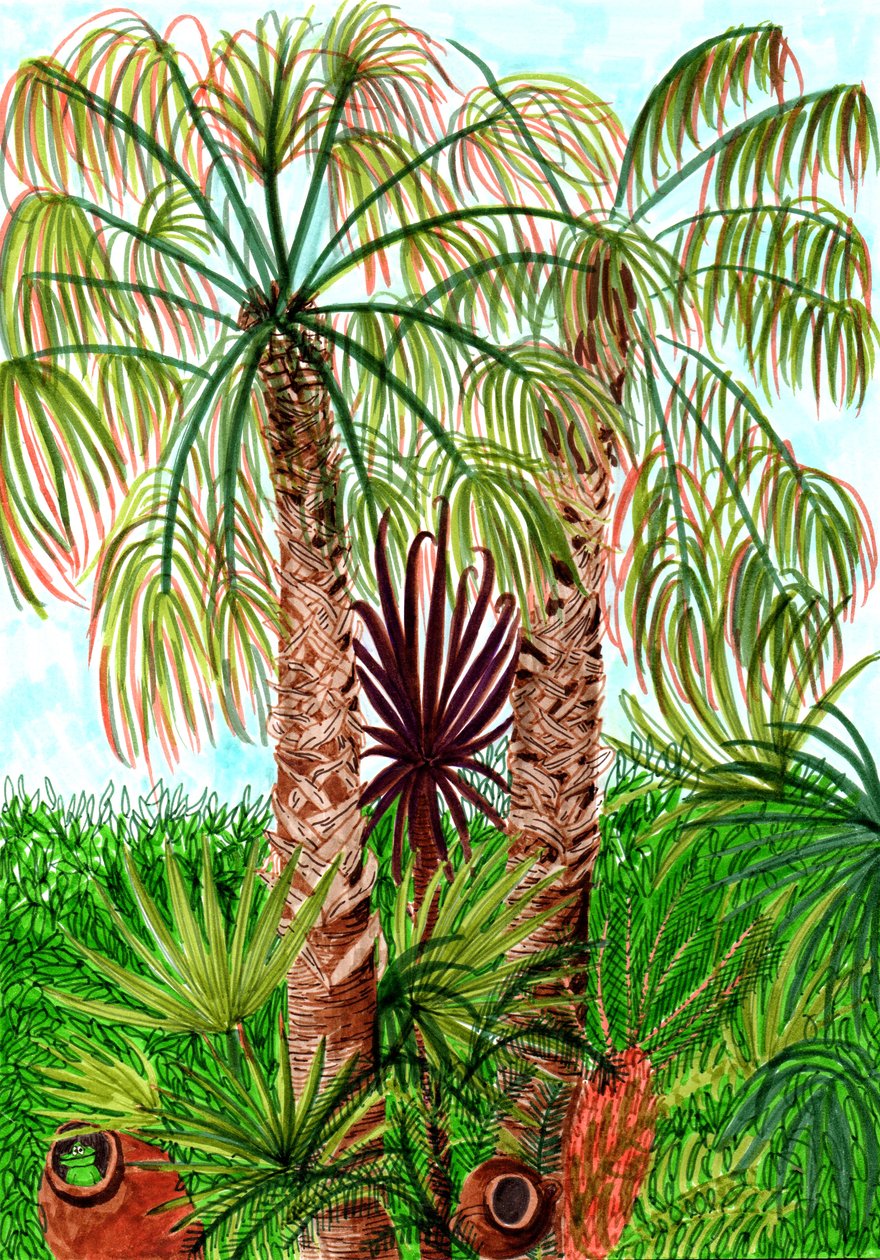 Barcelona Palms, 2017 (penselpenner) av Charlotte Orr