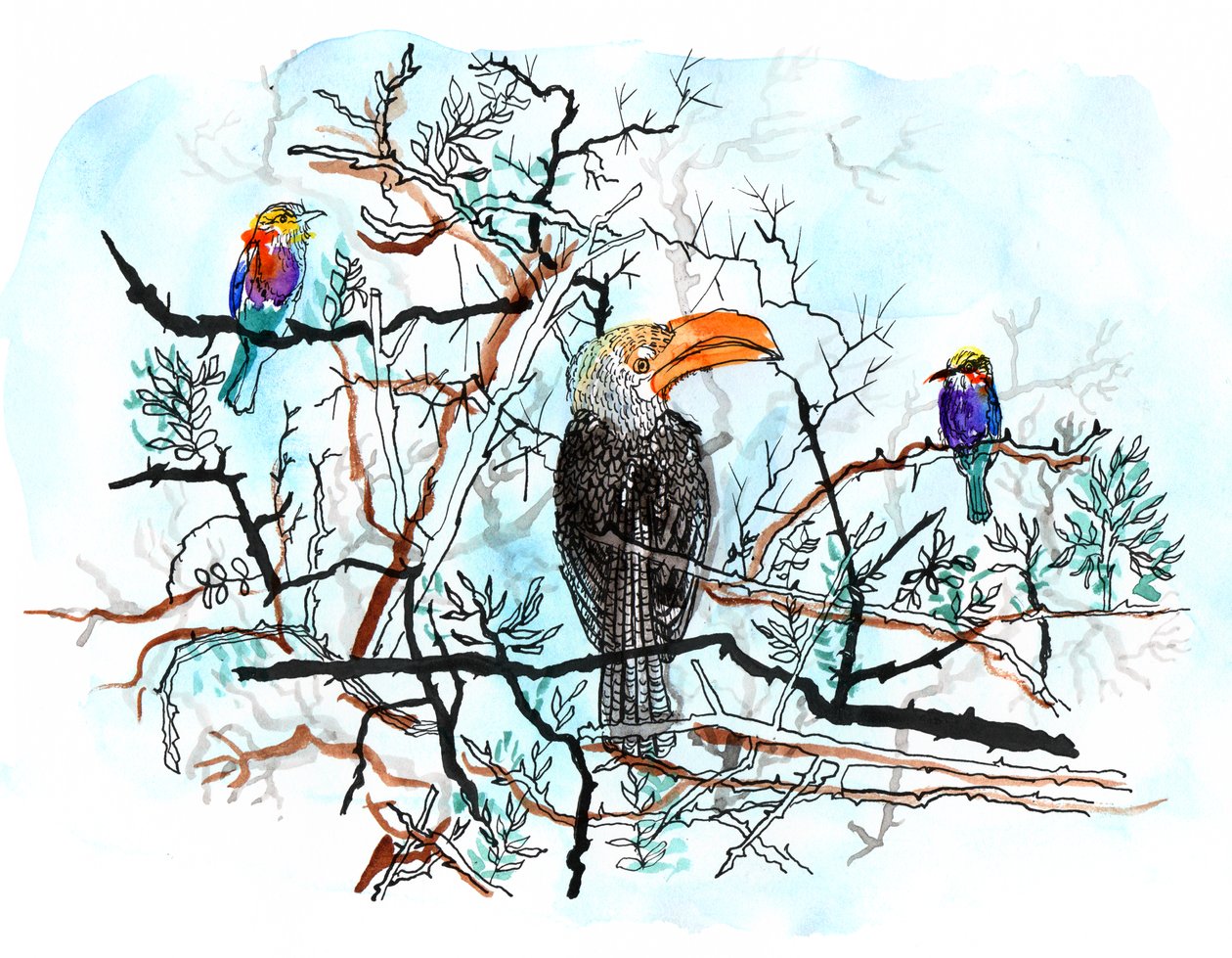 Bird in Tree, 2018 (penn, blekk og akvarell) av Charlotte Orr