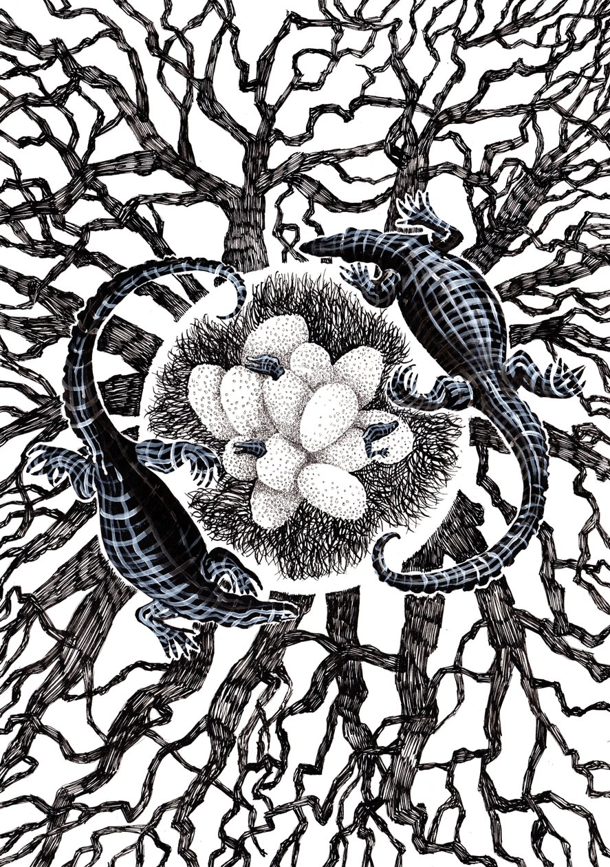 Krokodilleegg, 2020 av Charlotte Orr
