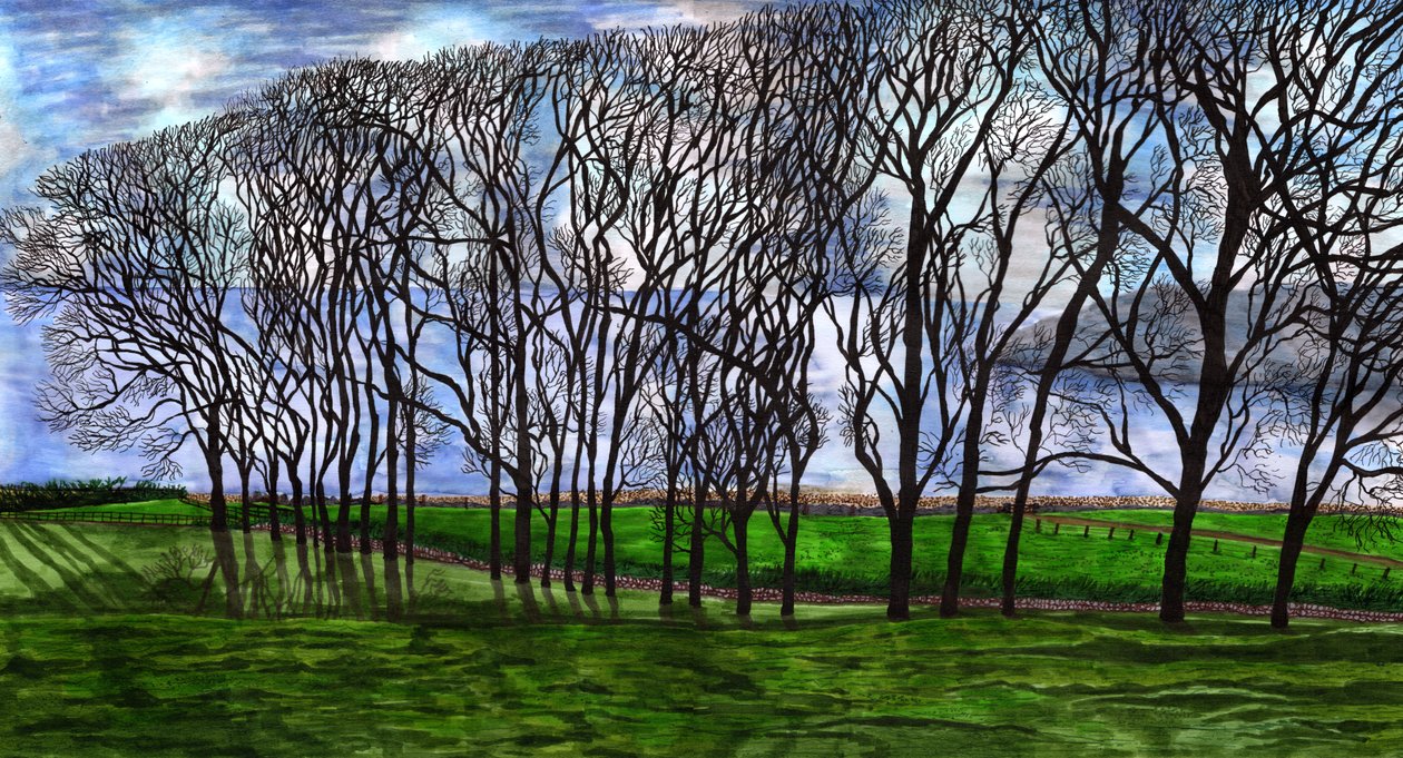 Cushendun, Nord-Irland, 2020 av Charlotte Orr