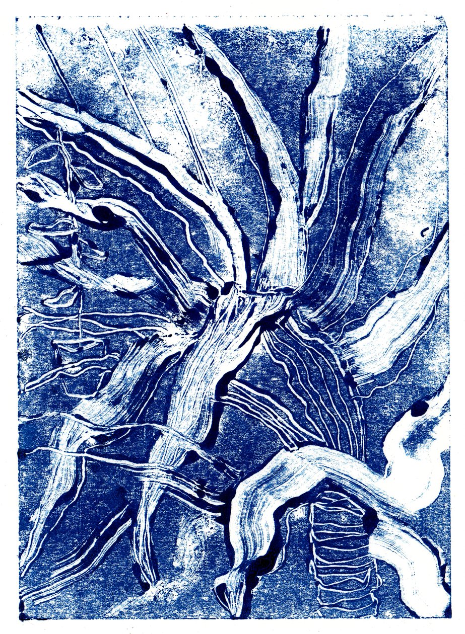 Inky Plants no.2, 2019 (monoprint) av Charlotte Orr