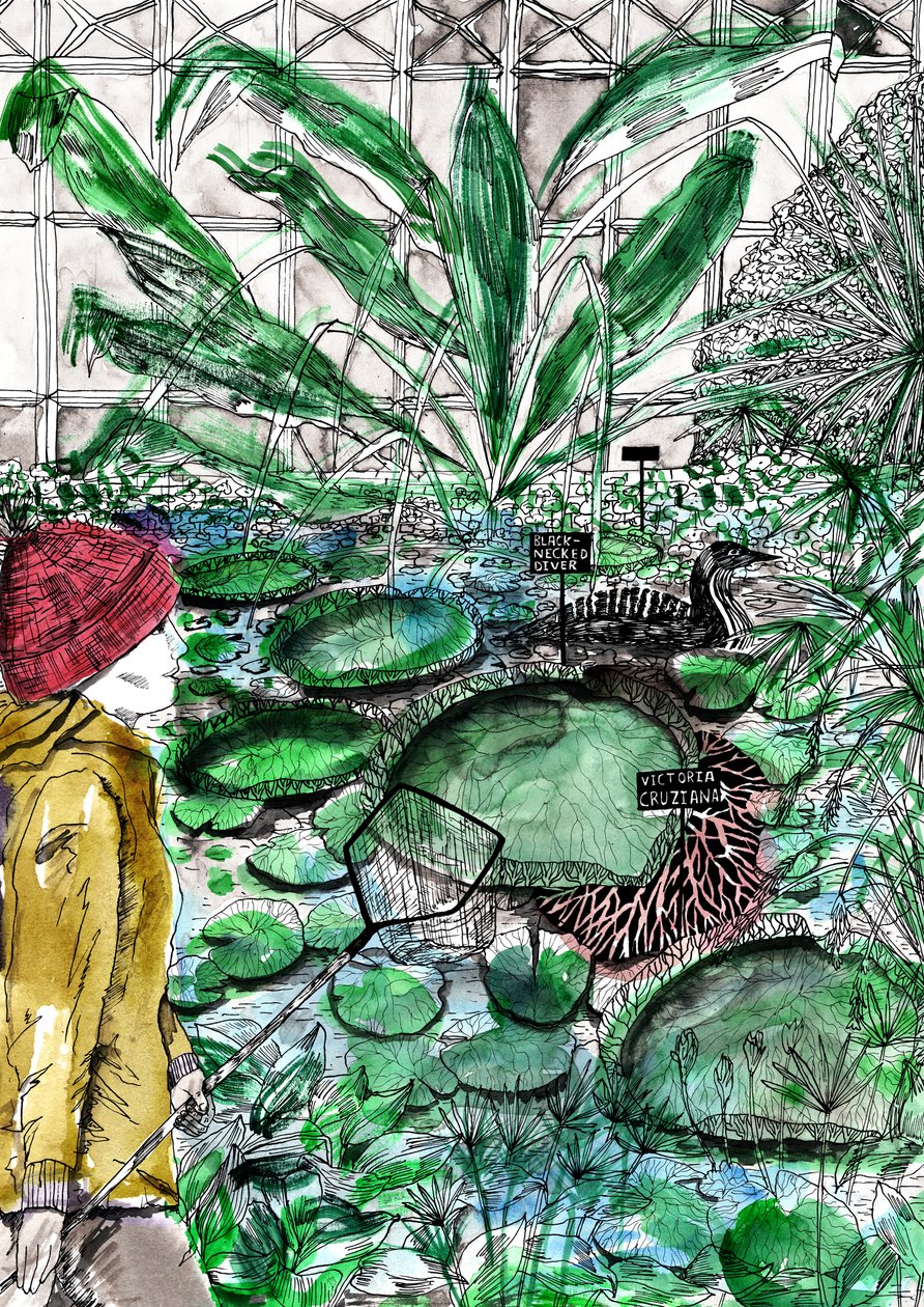 Oxford botaniske hage, 2020 av Charlotte Orr