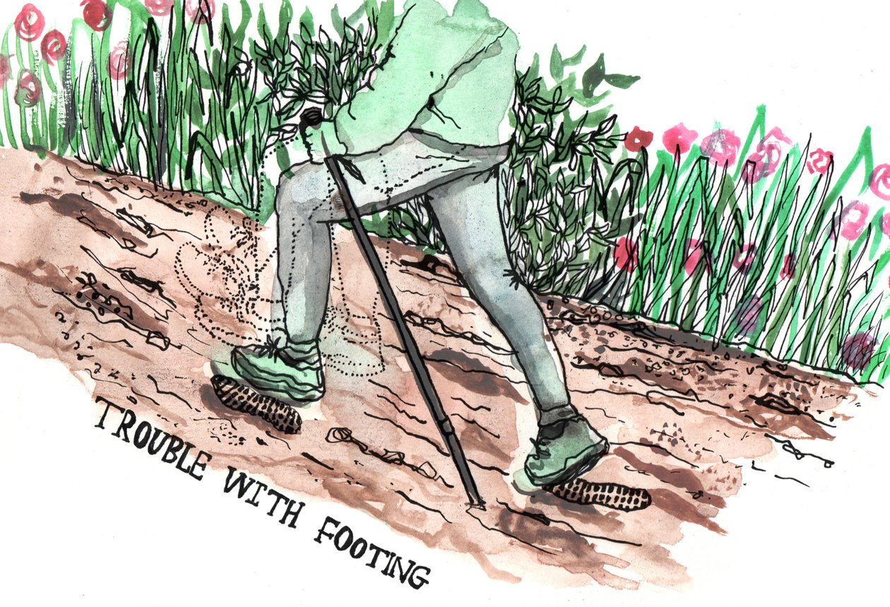 Parkinsons Illustrations, 2019 (blekk og akvarell) av Charlotte Orr