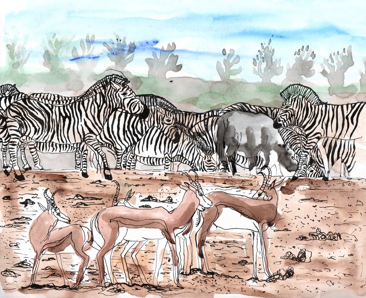 Safari 3, 2018 (blekk og akvarell) av Charlotte Orr