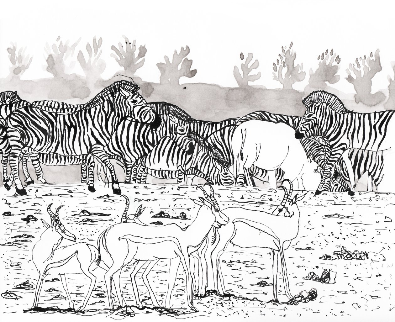 Safari 3, 2018 (blekk og akvarell) av Charlotte Orr