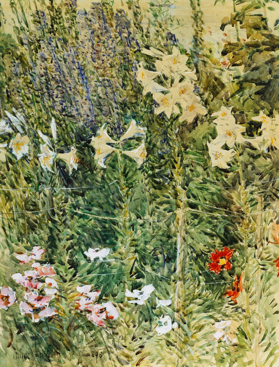Larkspurs og Lillies av Childe Frederick Hassam