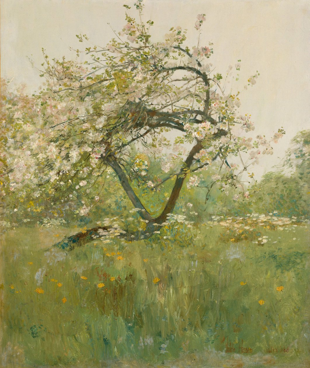 Ferskenblomster, Villiers-le-Bel av Childe Frederick Hassam
